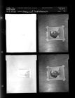 Engagement Re-photograph (4 Negatives (May 14, 1960) [Sleeve 46, Folder a, Box 24]